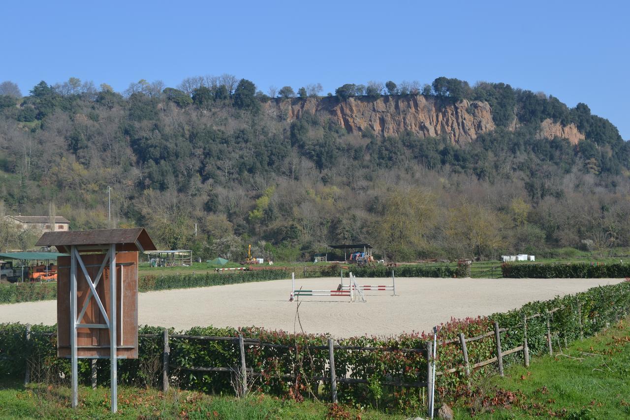 Agriturismo Le Forre Del Treja Civita Castellana Exterior foto